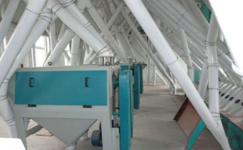 小麥面粉磨粉機(jī)